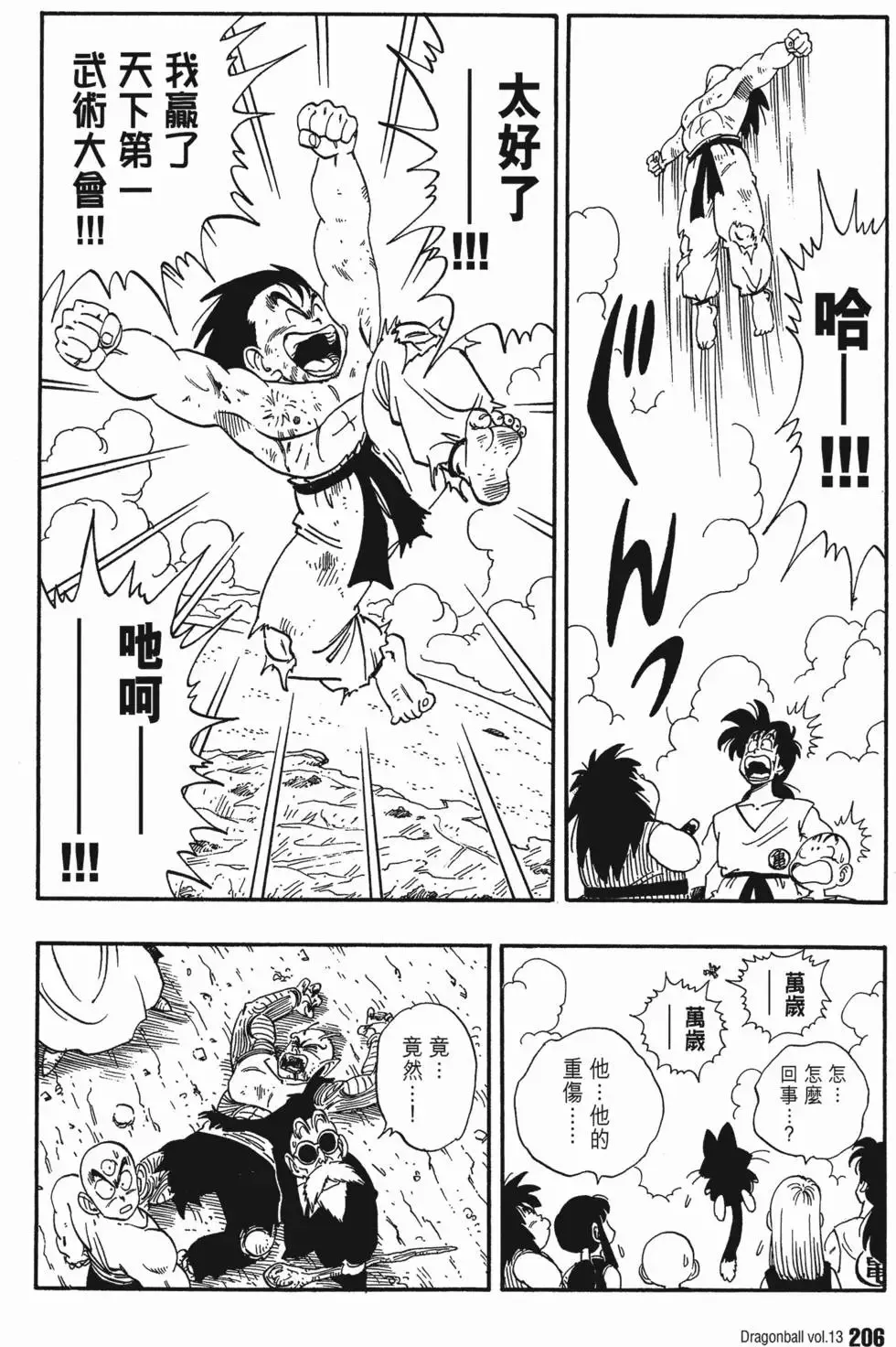第13卷 第213页