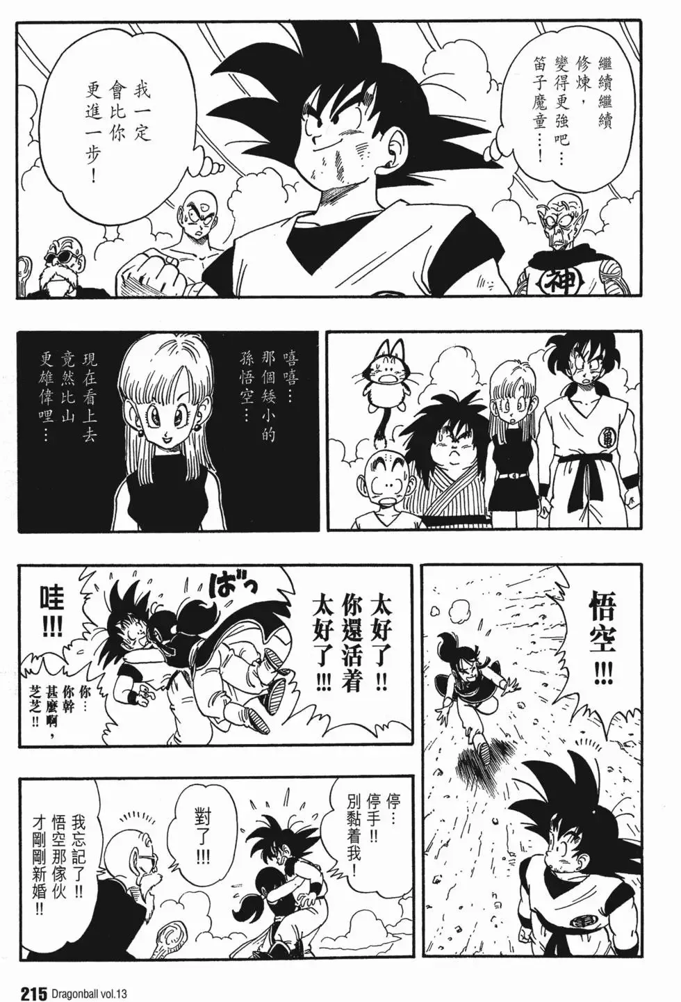 第13卷 第222页