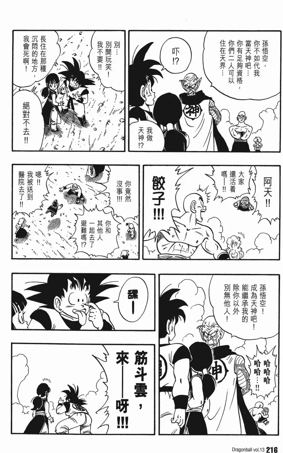 第13卷 第223页