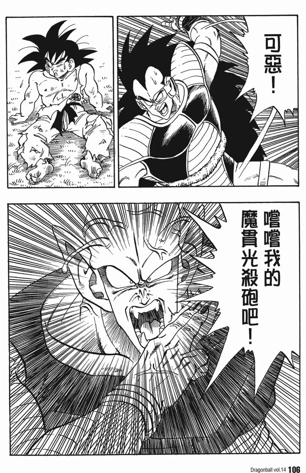 第14卷 第113页