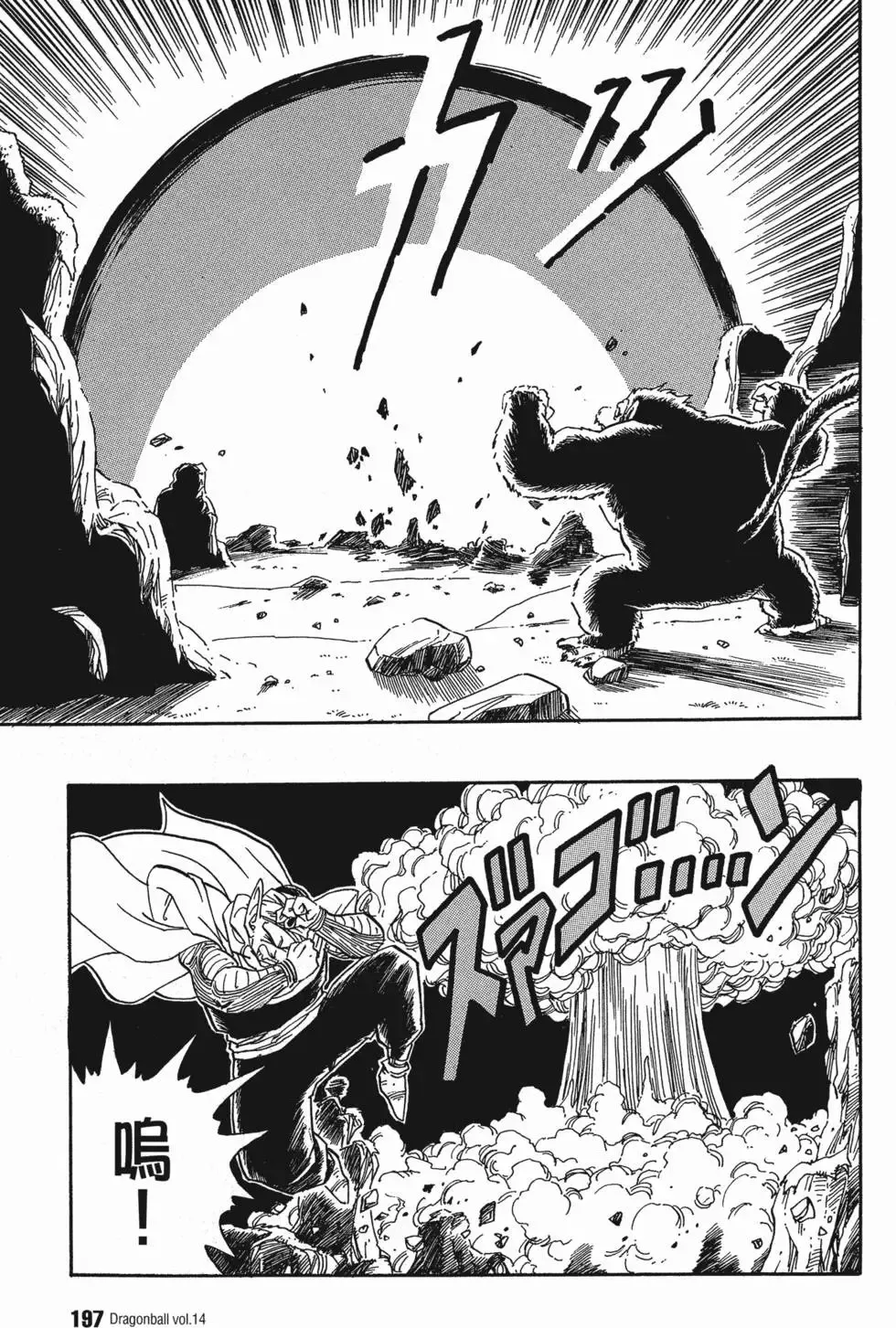 第14卷 第204页