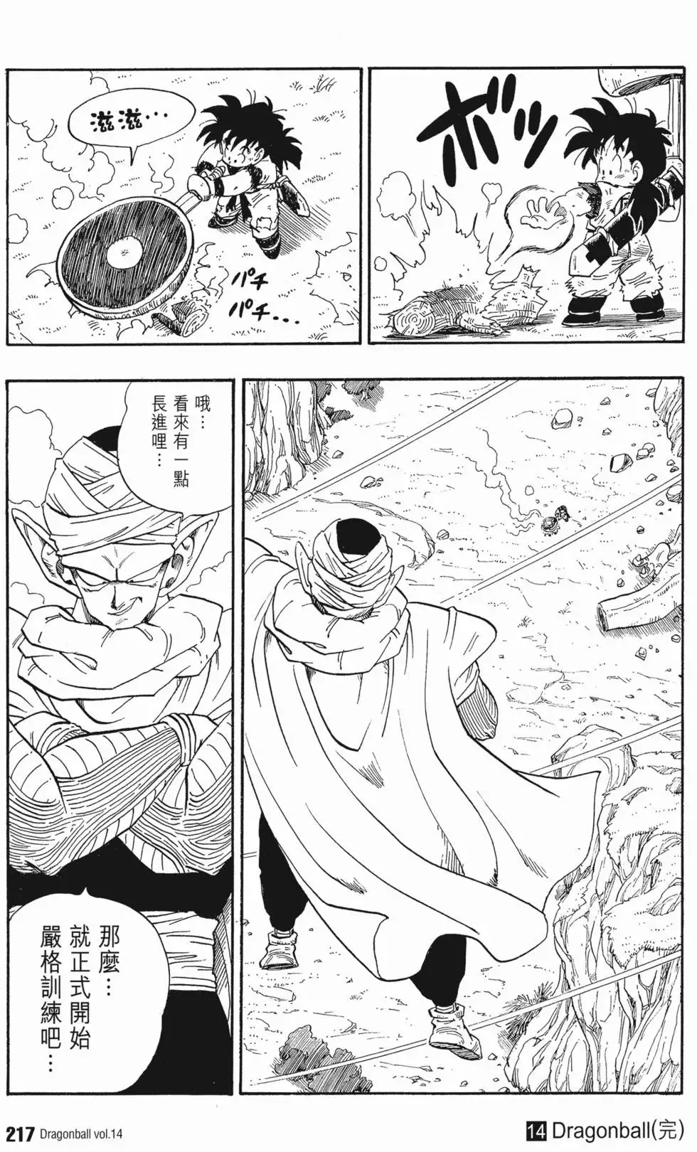 第14卷 第224页
