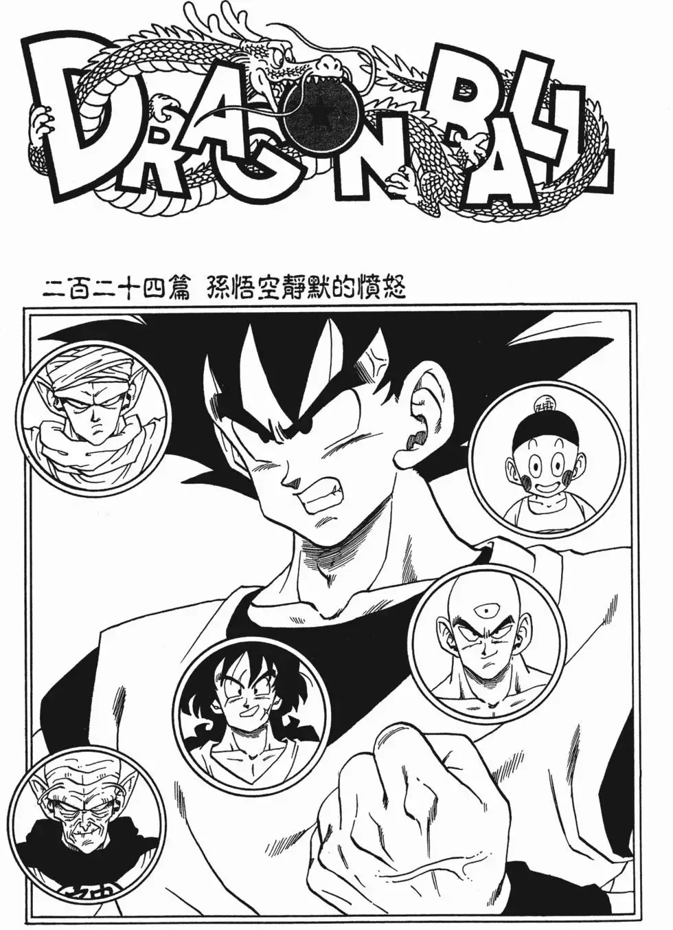第15卷 第236页