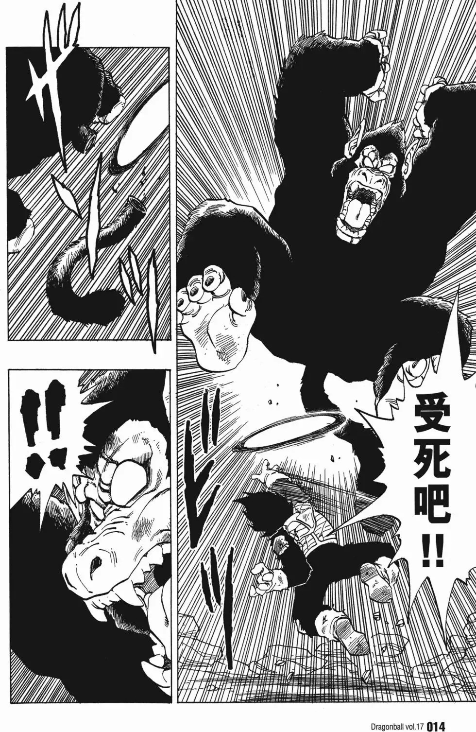 第17卷 第19页