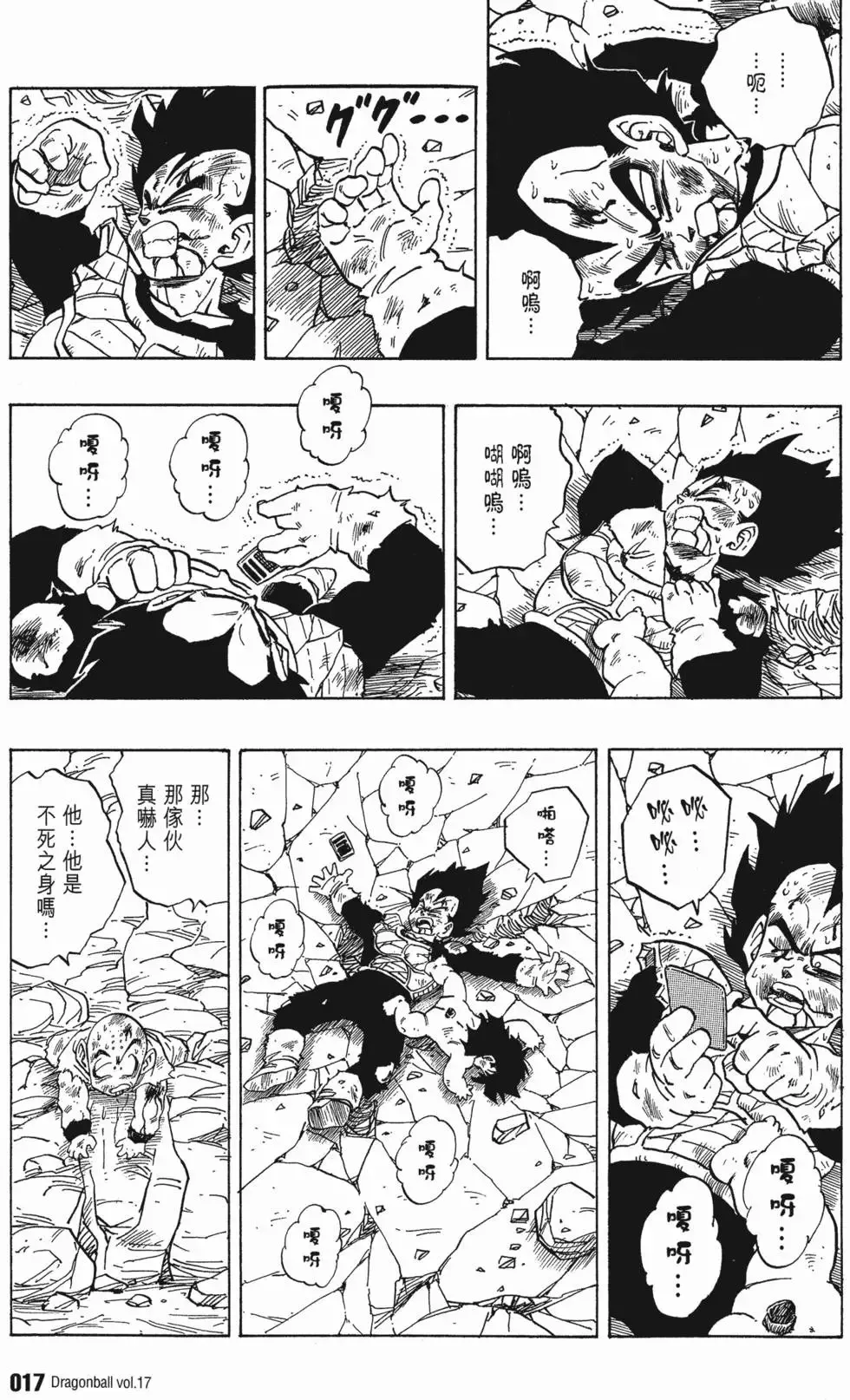 第17卷 第22页