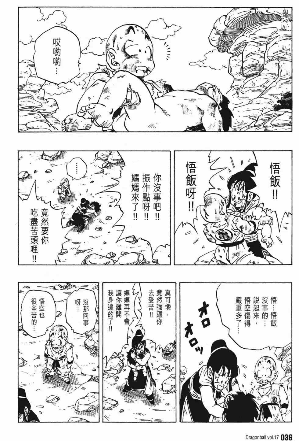第17卷 第41页
