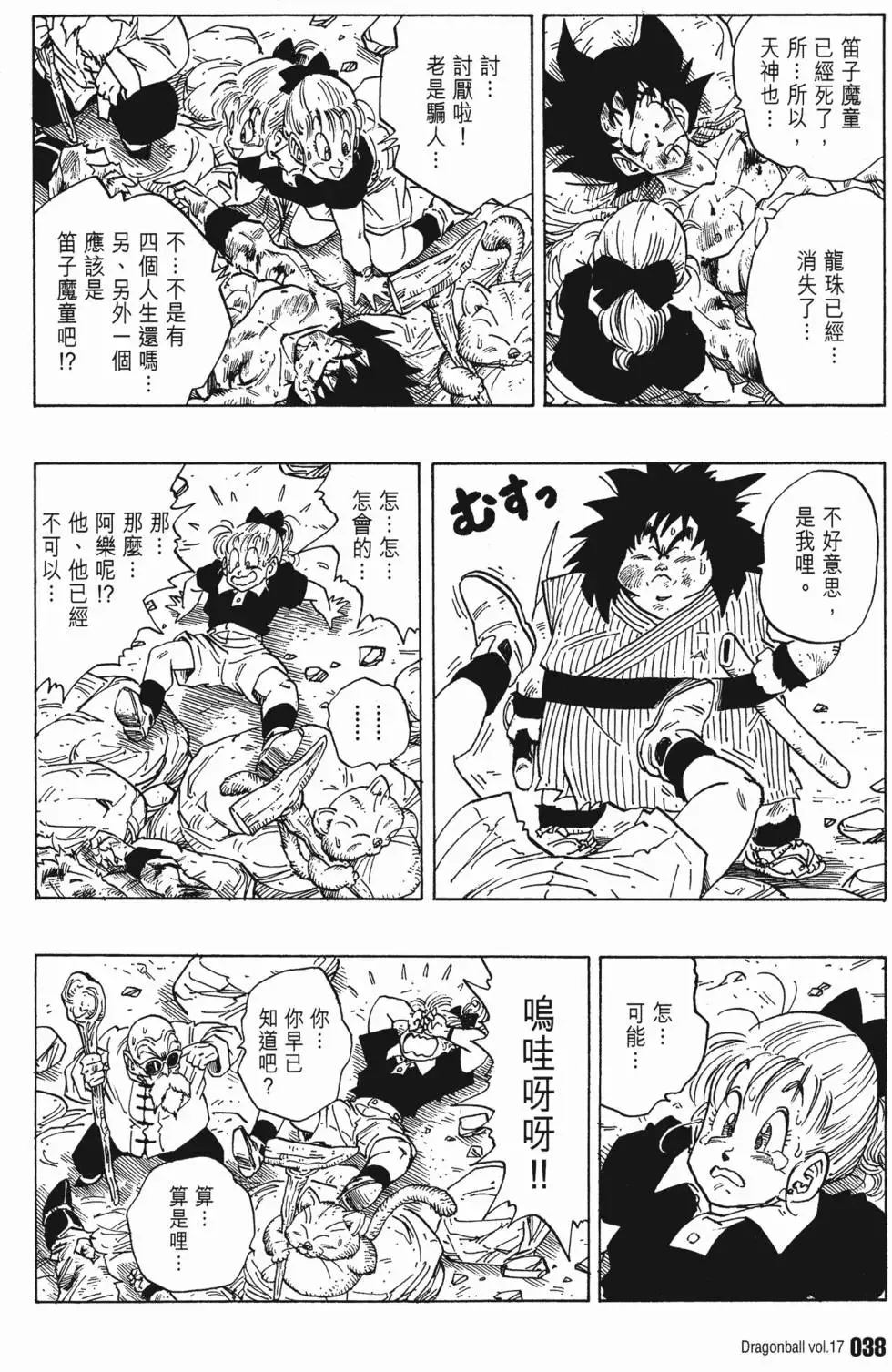 第17卷 第43页
