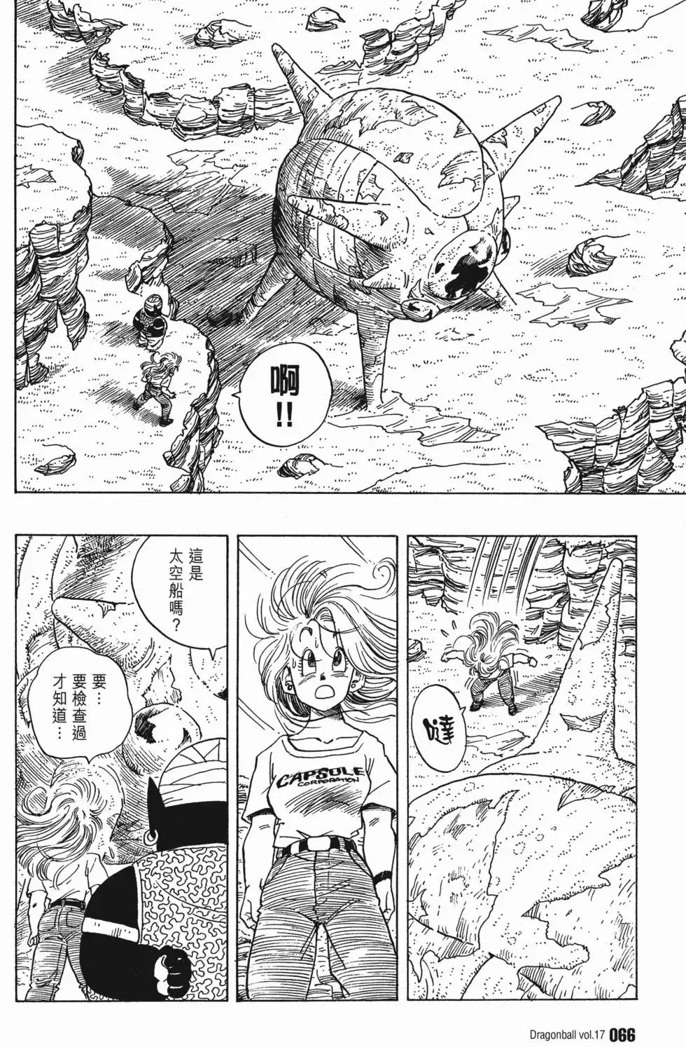 第17卷 第71页