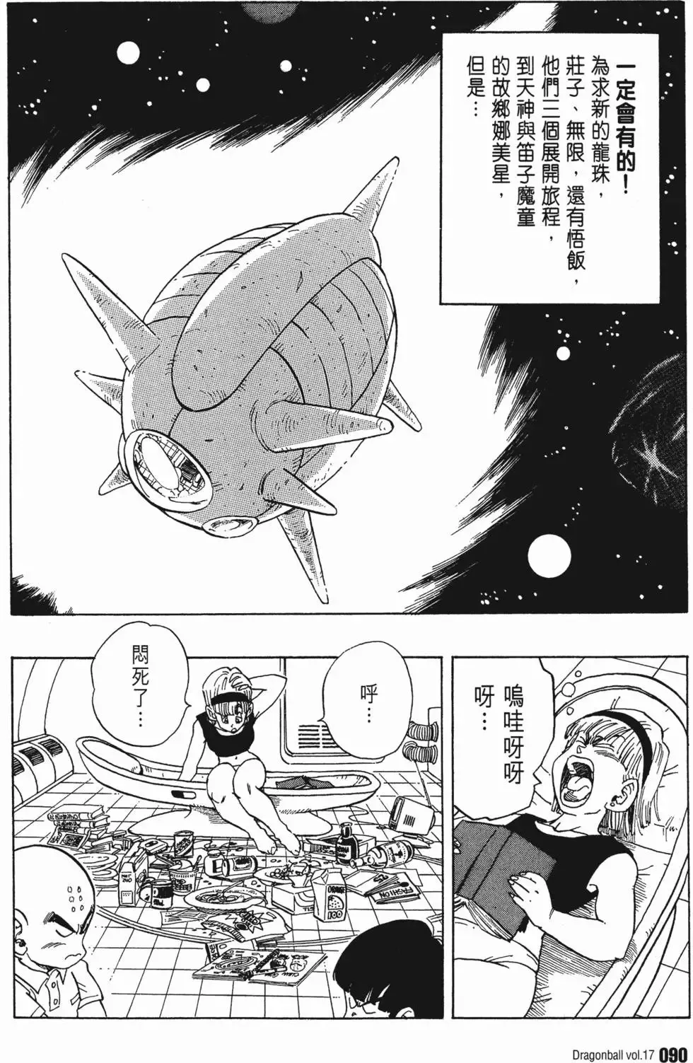 第17卷 第95页