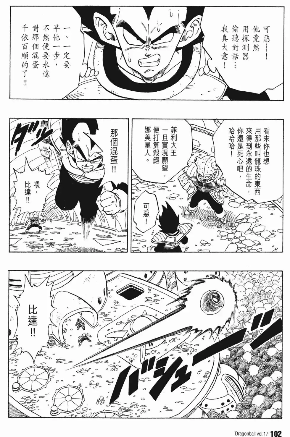 第17卷 第107页