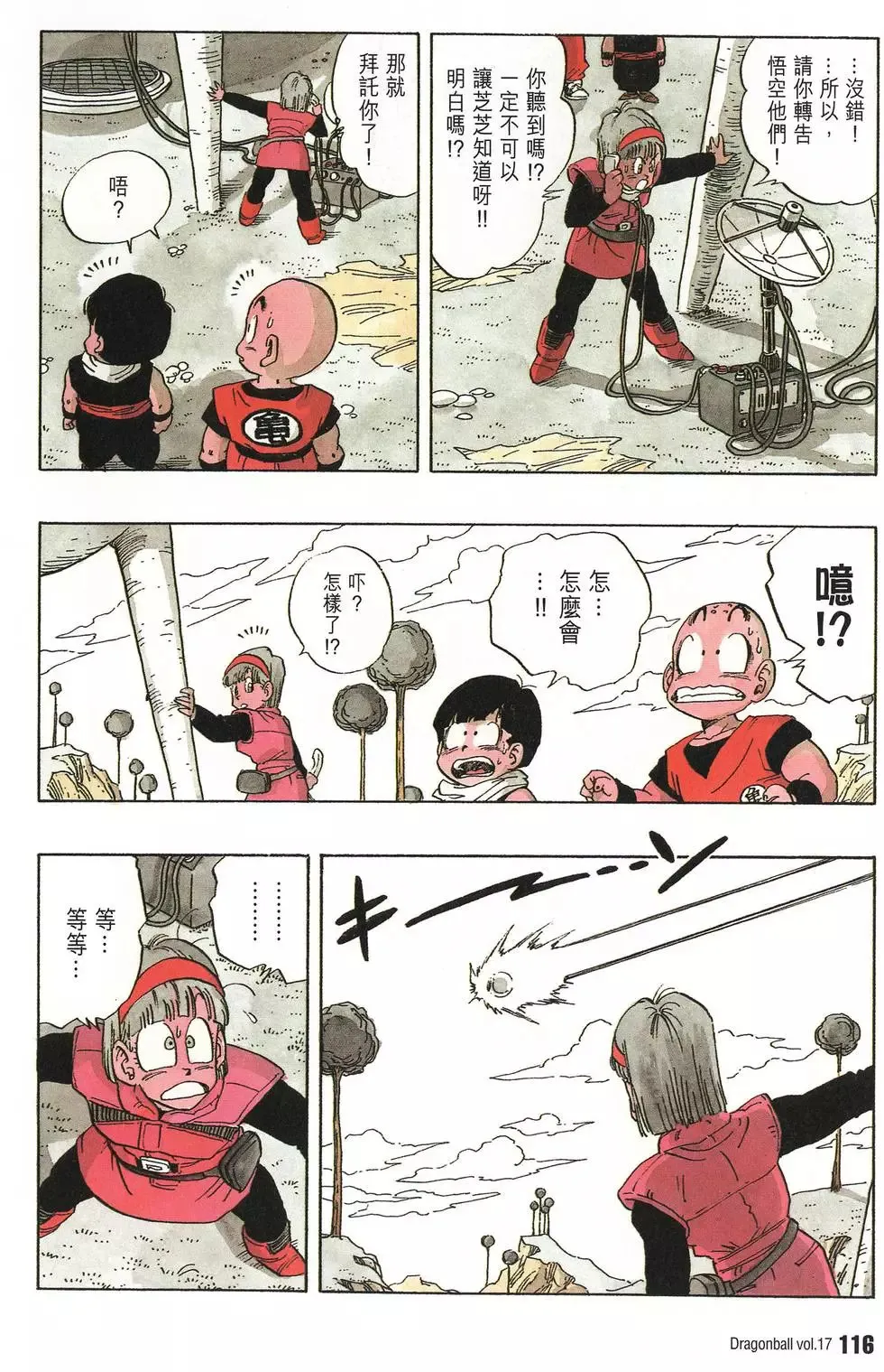 第17卷 第121页