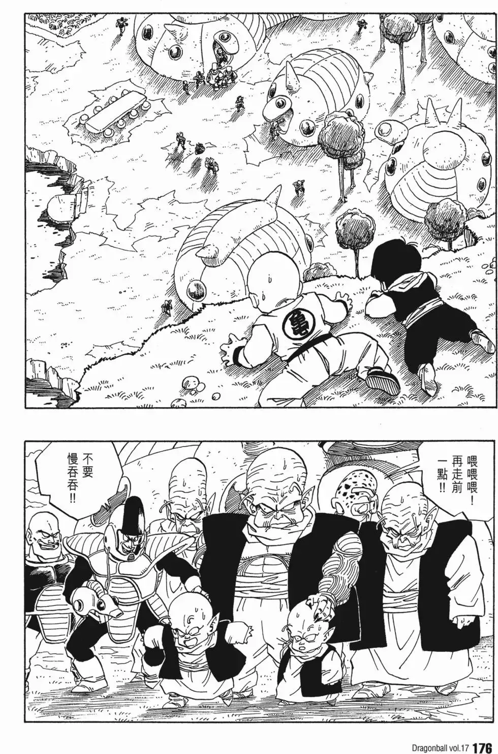 第17卷 第181页