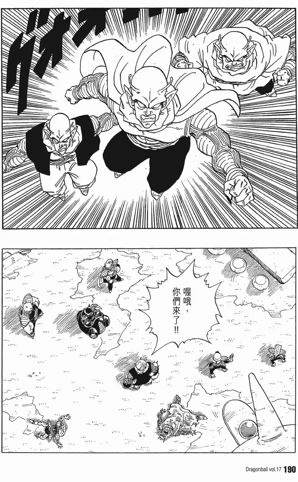 第17卷 第195页