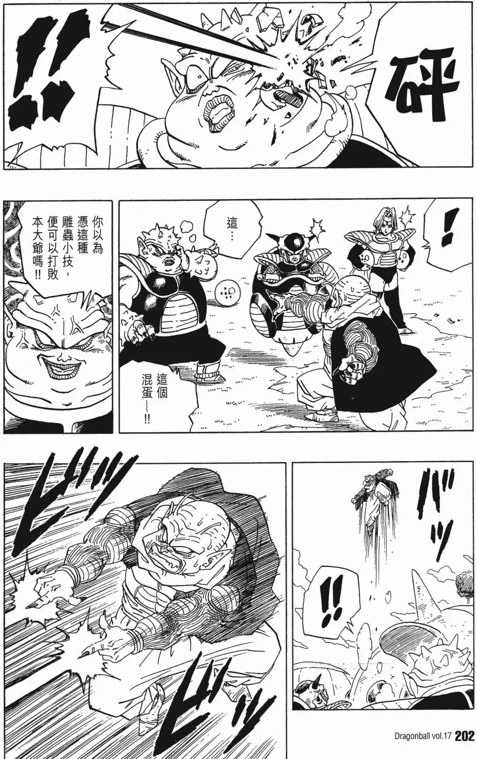 第17卷 第207页