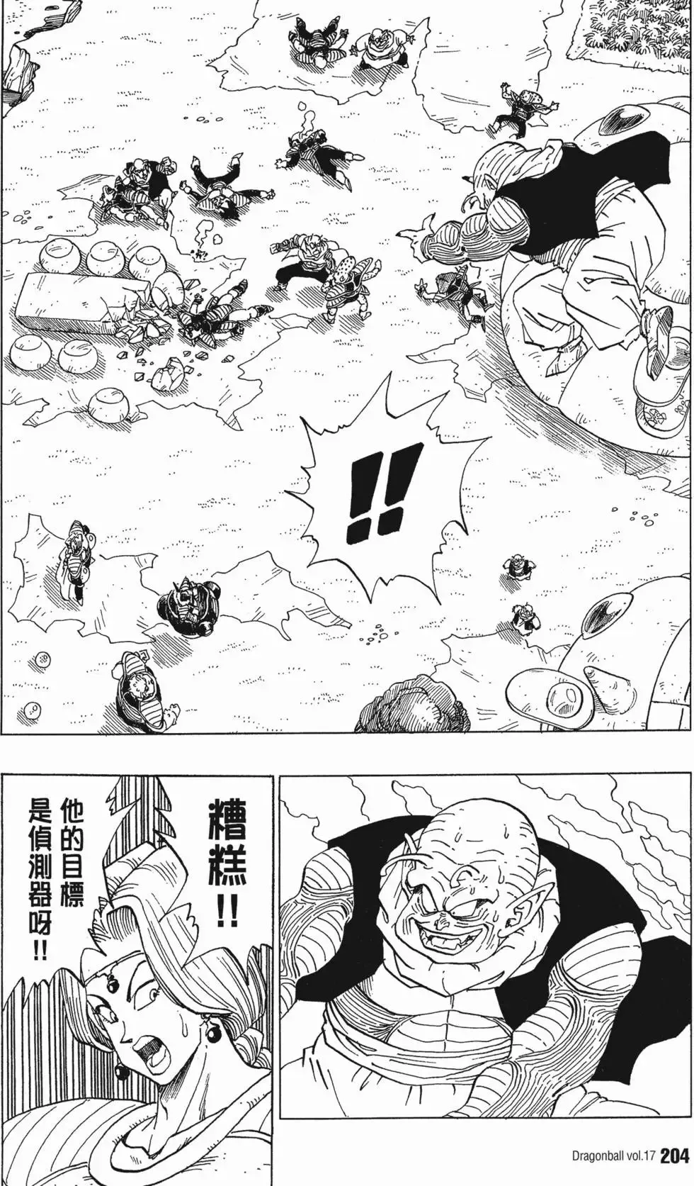 第17卷 第209页