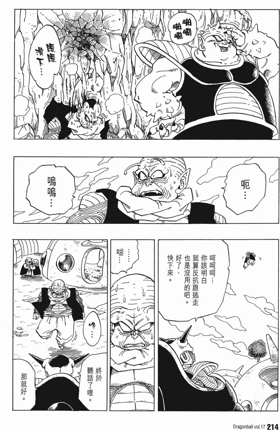 第17卷 第219页