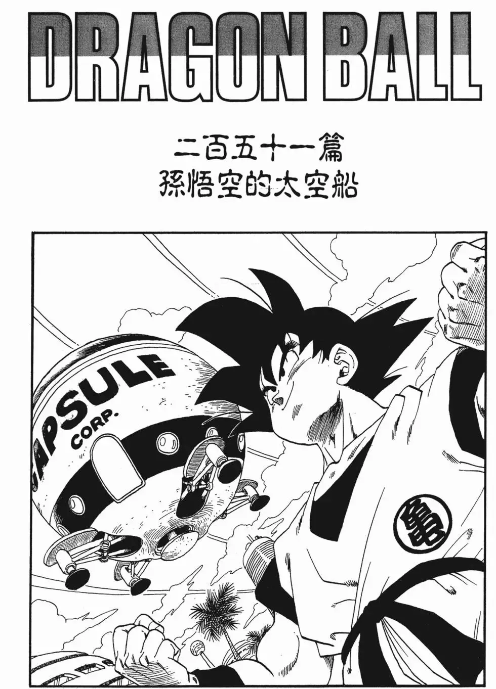 第17卷 第234页