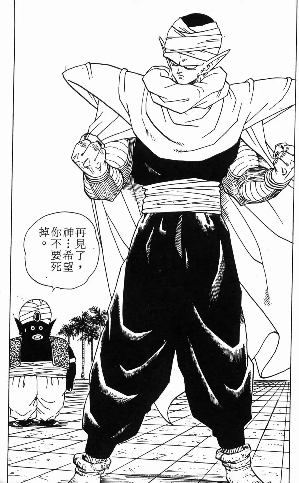 台版30 第166页
