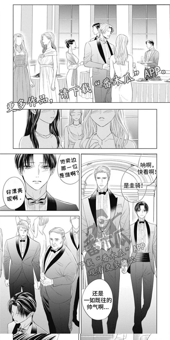 第25章：顶级欧米伽 第1页