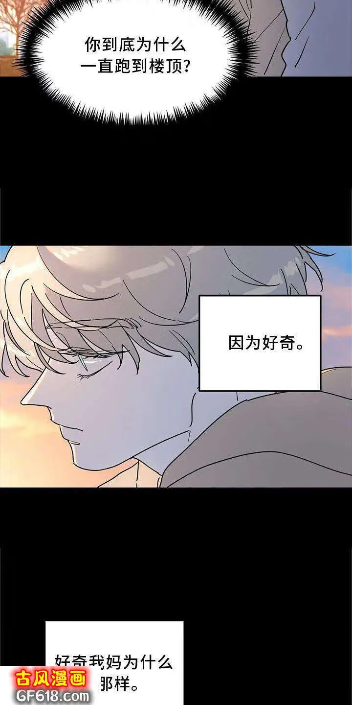 第25话：意义 第14页