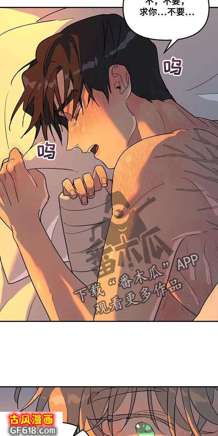 第43话：我也喜欢你 第4页