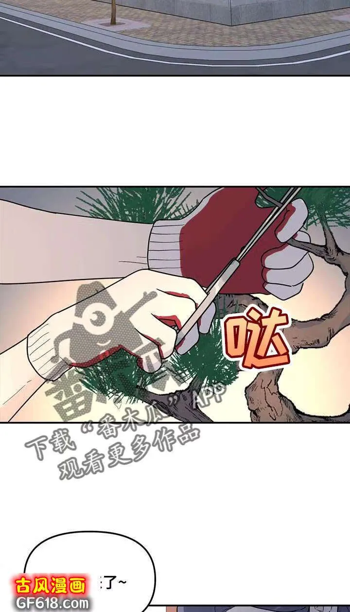 第57话：伤了腿脚 第17页