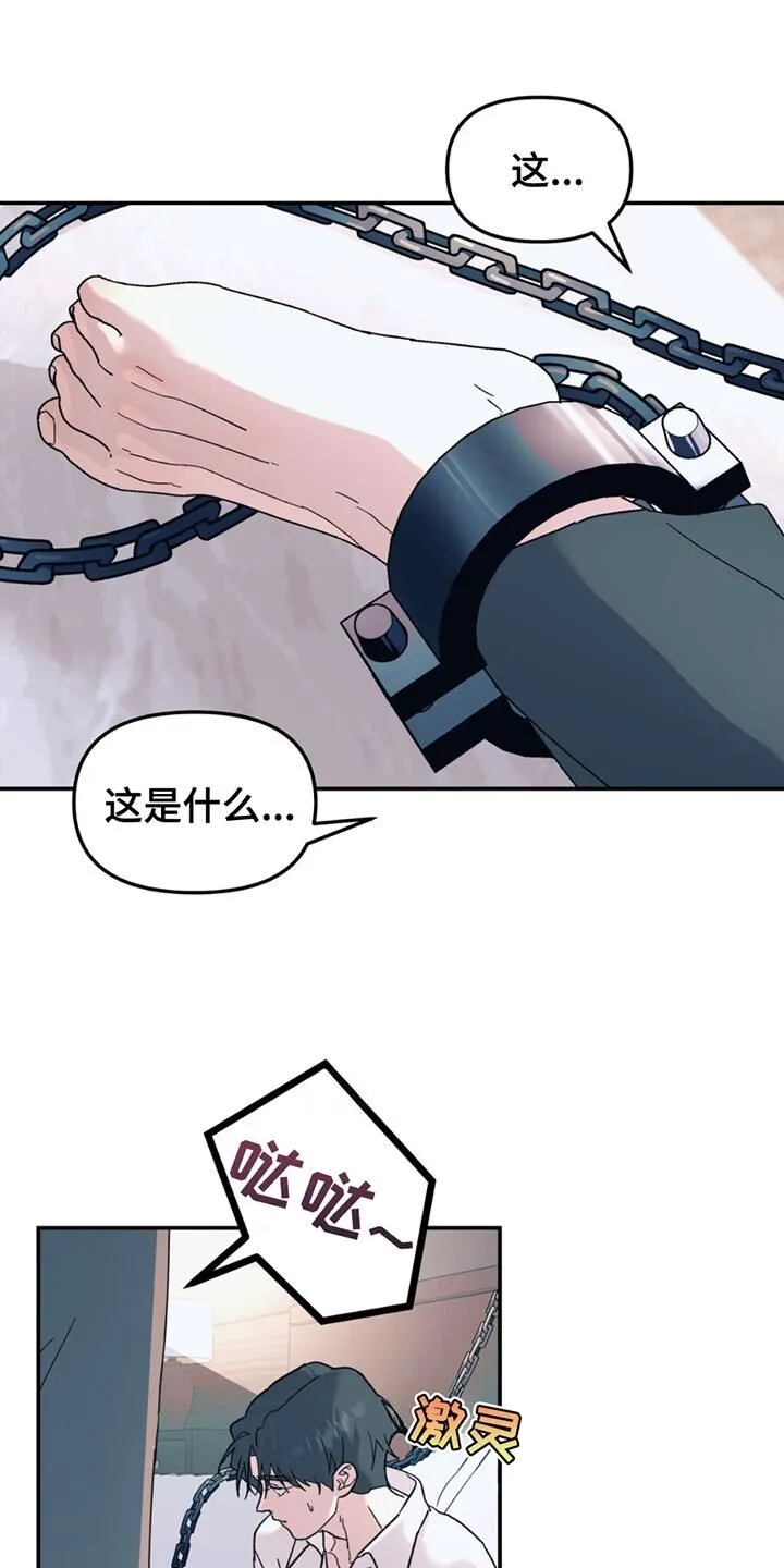 第110章：【第二季】调查 第1页
