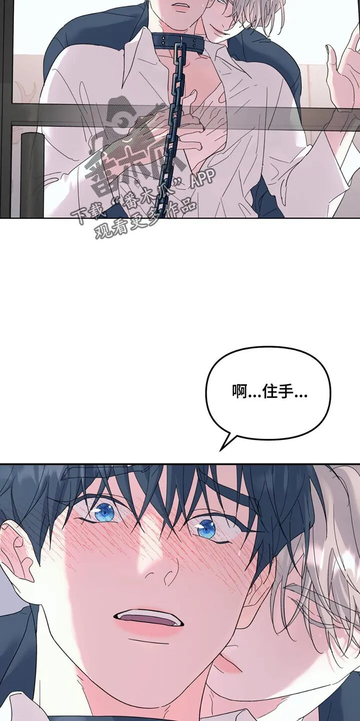 第118章：【第二季】看来不打算说 第5页
