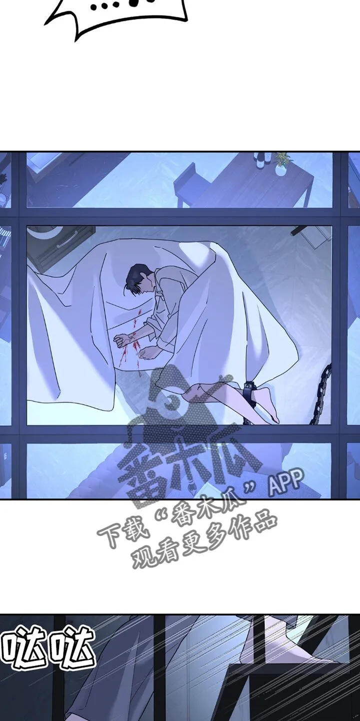 第154章：【第二季】不要动！ 第14页