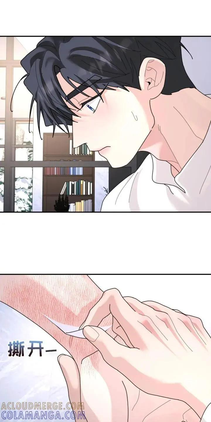 第216章：【第二季】不能得到原谅 第11页
