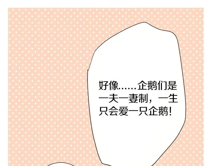 第123话 企鹅情侣 第44页