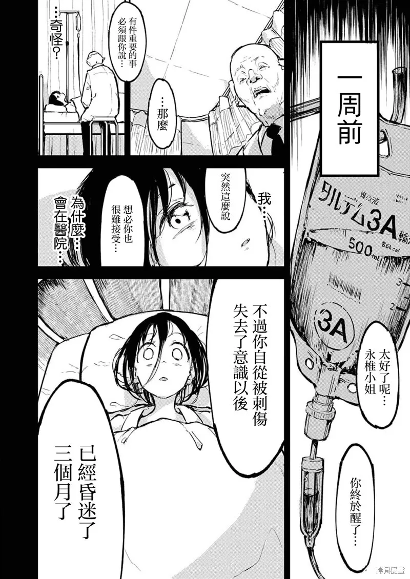 13 第3页