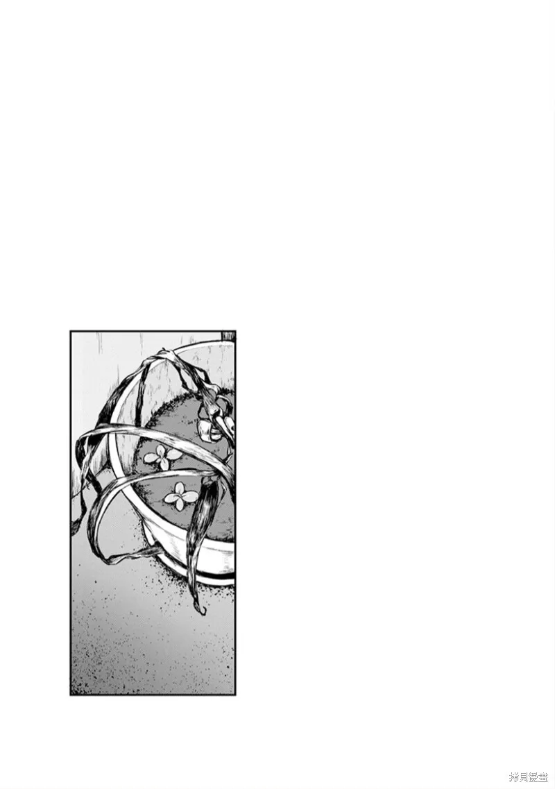 17 第6页