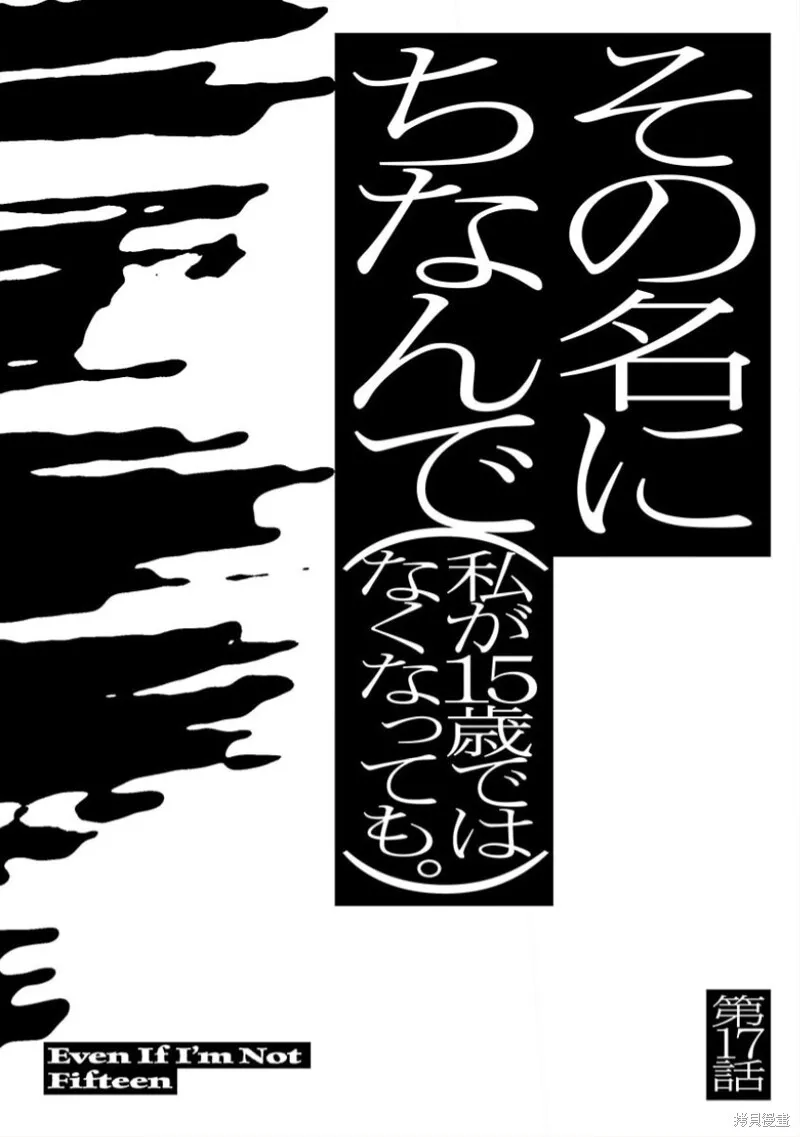 17 第7页