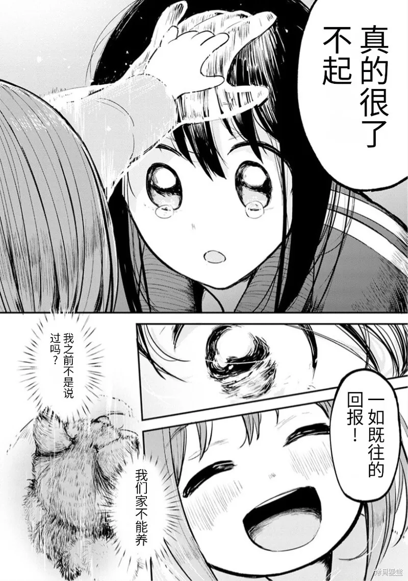 17 第31页