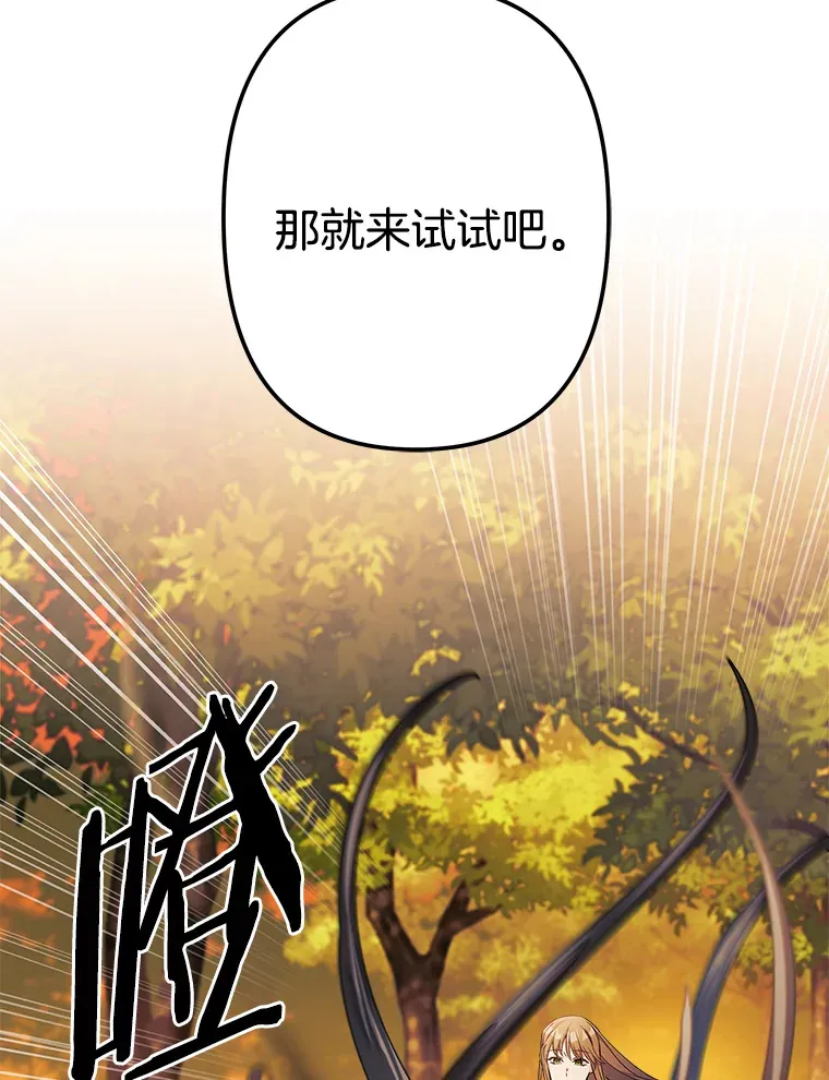 5.套用术式 第110页