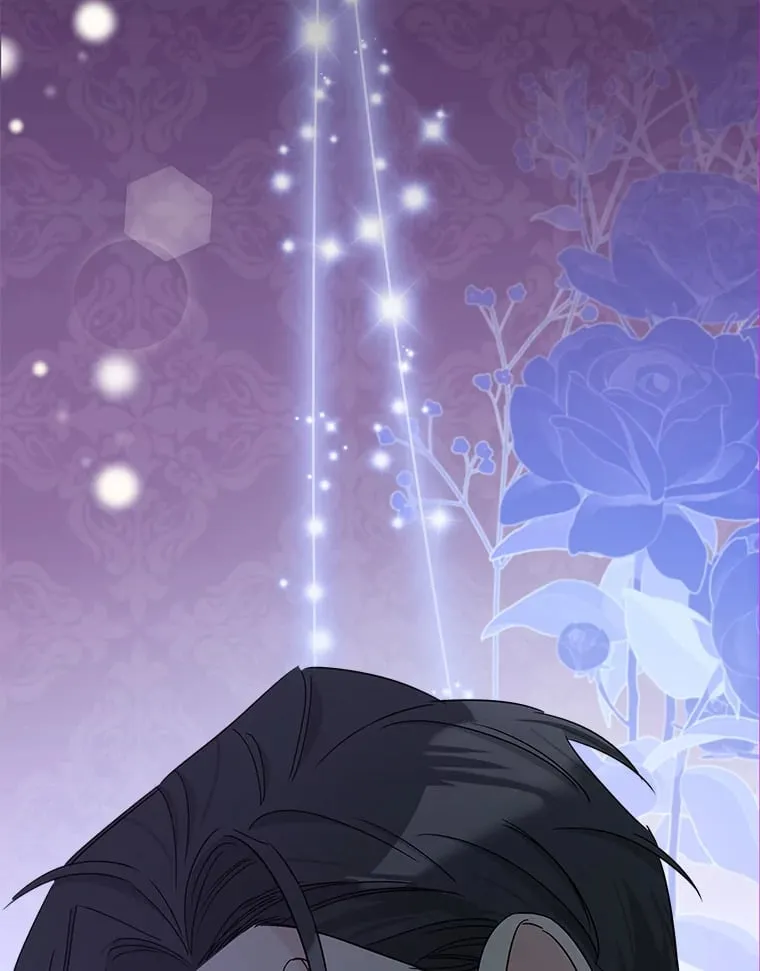 25.召唤 第27页