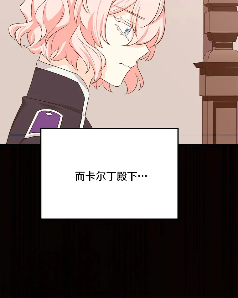 27.净化 第13页