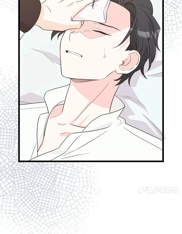 27.净化 第17页