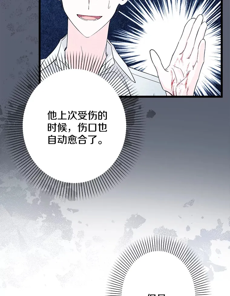 27.净化 第19页