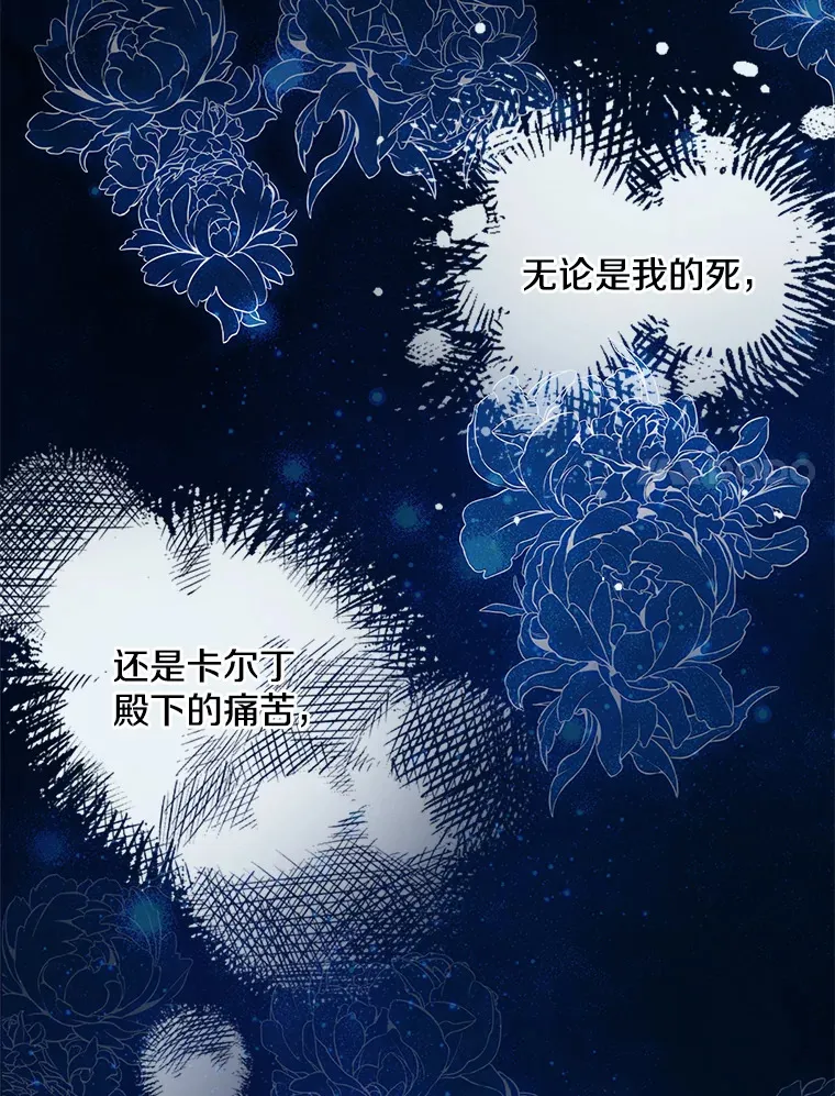 27.净化 第24页