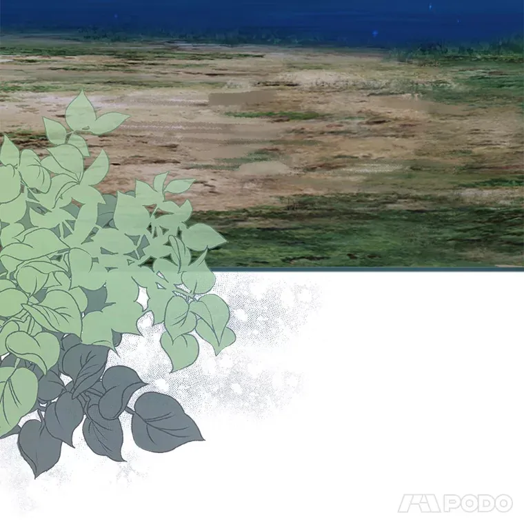 27.净化 第39页