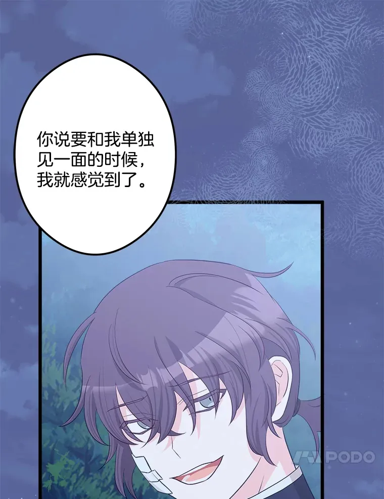 27.净化 第55页
