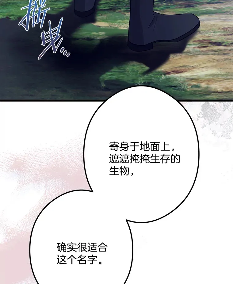 27.净化 第68页
