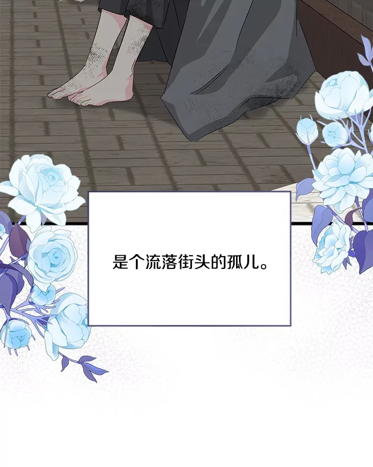 27.净化 第87页