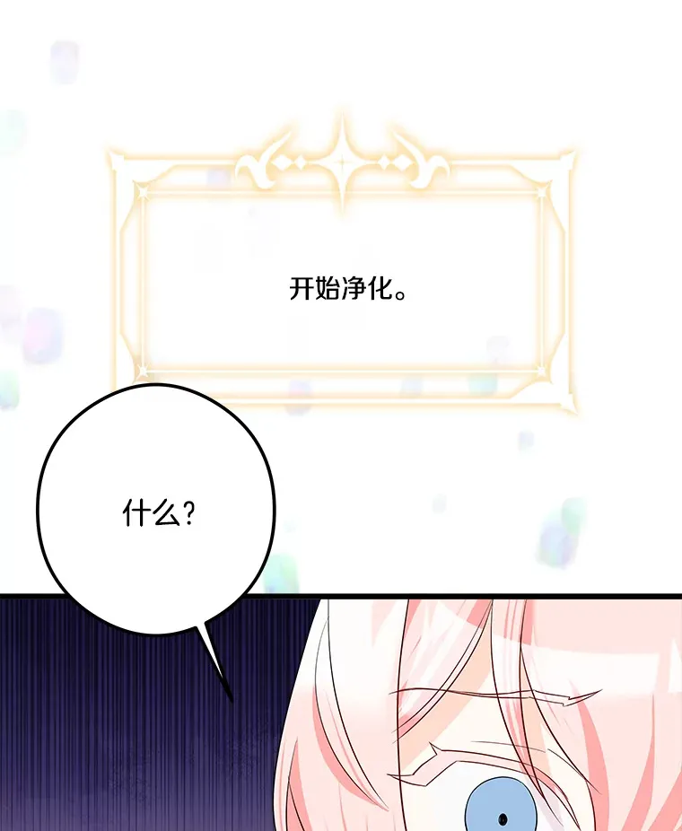 27.净化 第95页