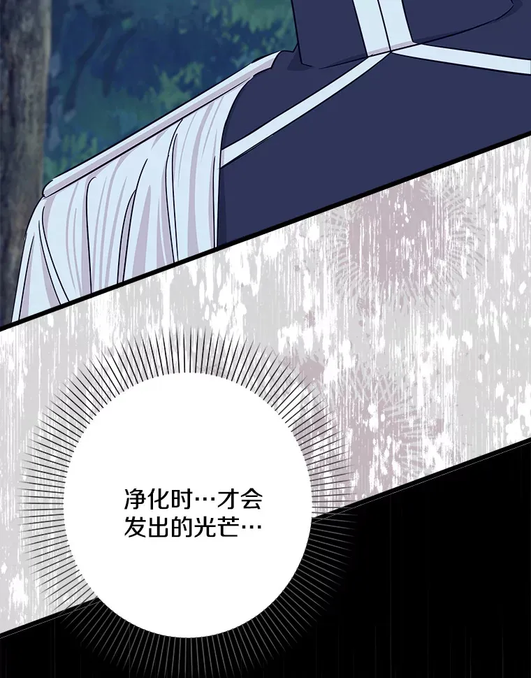 27.净化 第125页