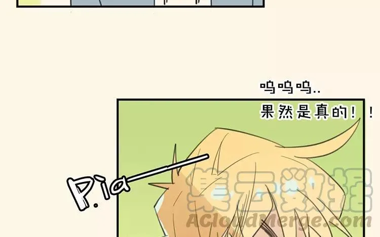 第67话 真可惜啊！ 第37页