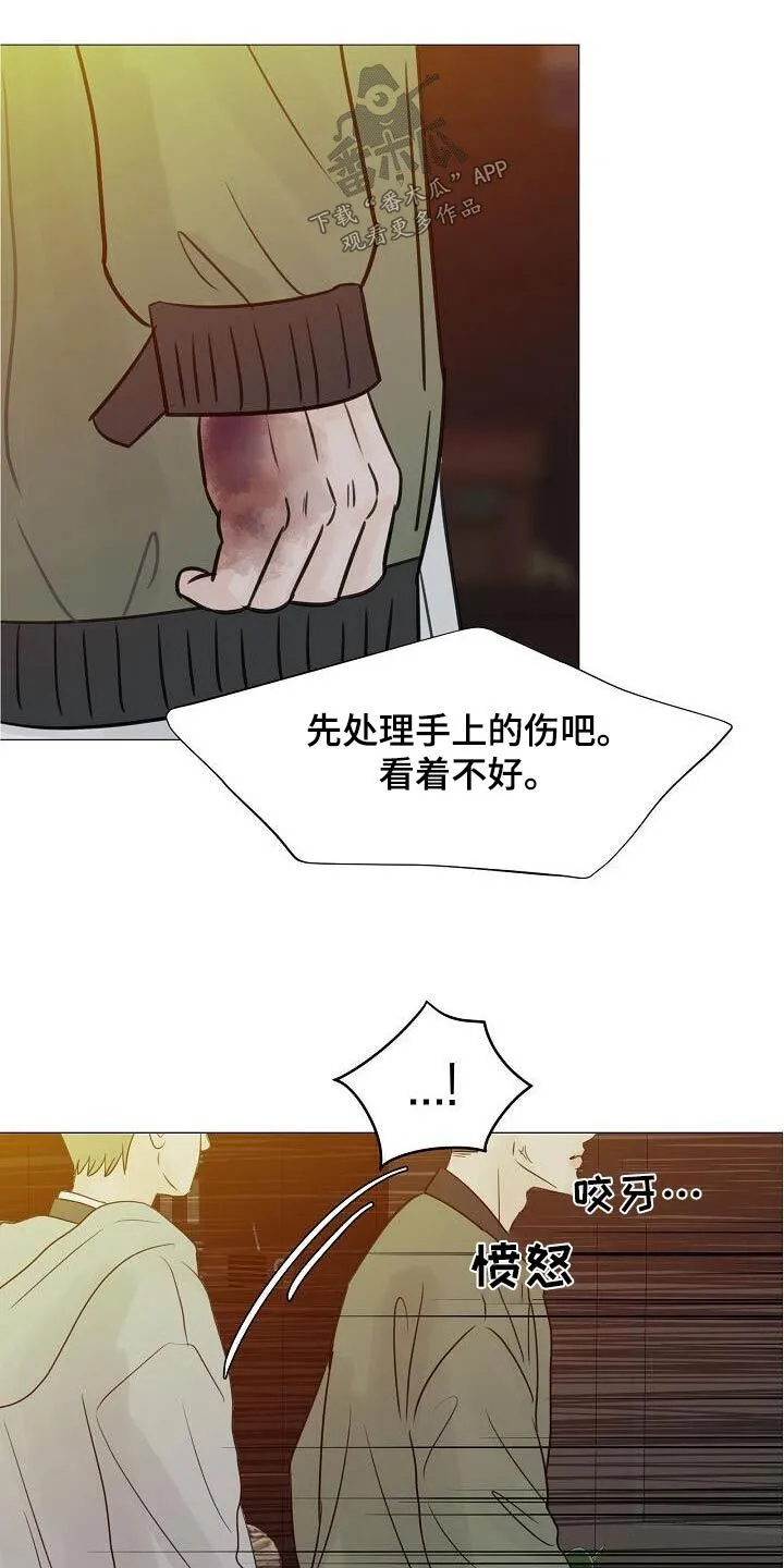 第64章：保护你 第14页