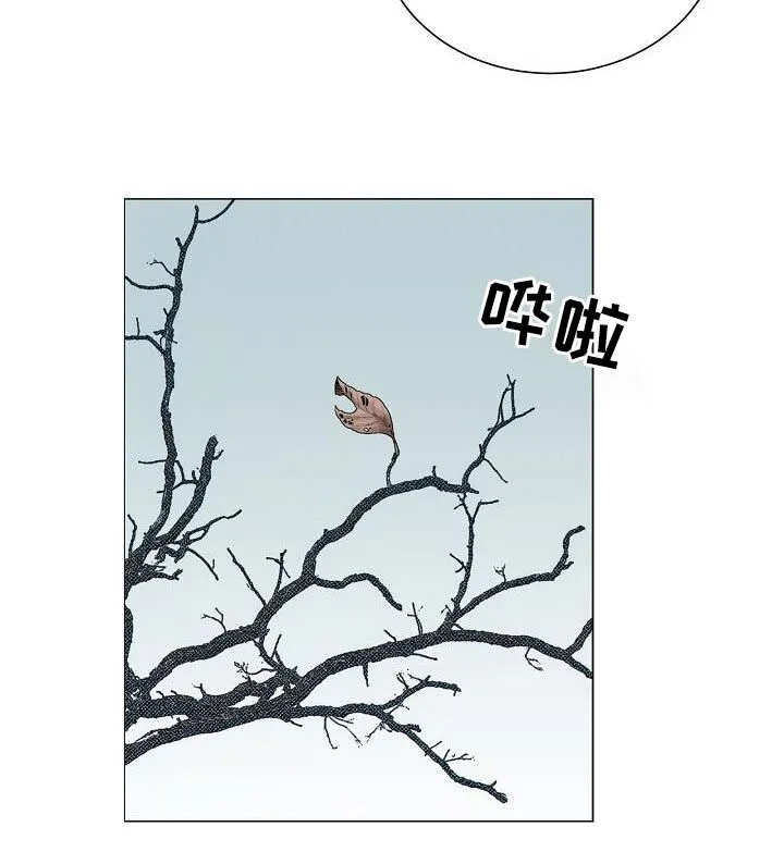 第74章：【第二季】进展 第21页